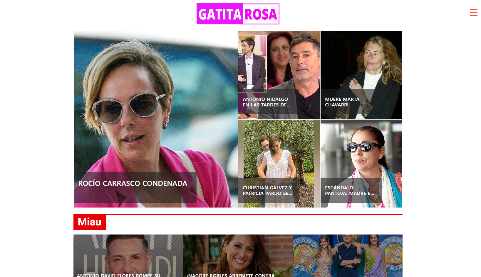 GATITAROSA: El Universo Entrañable de la Prensa Rosa en Línea